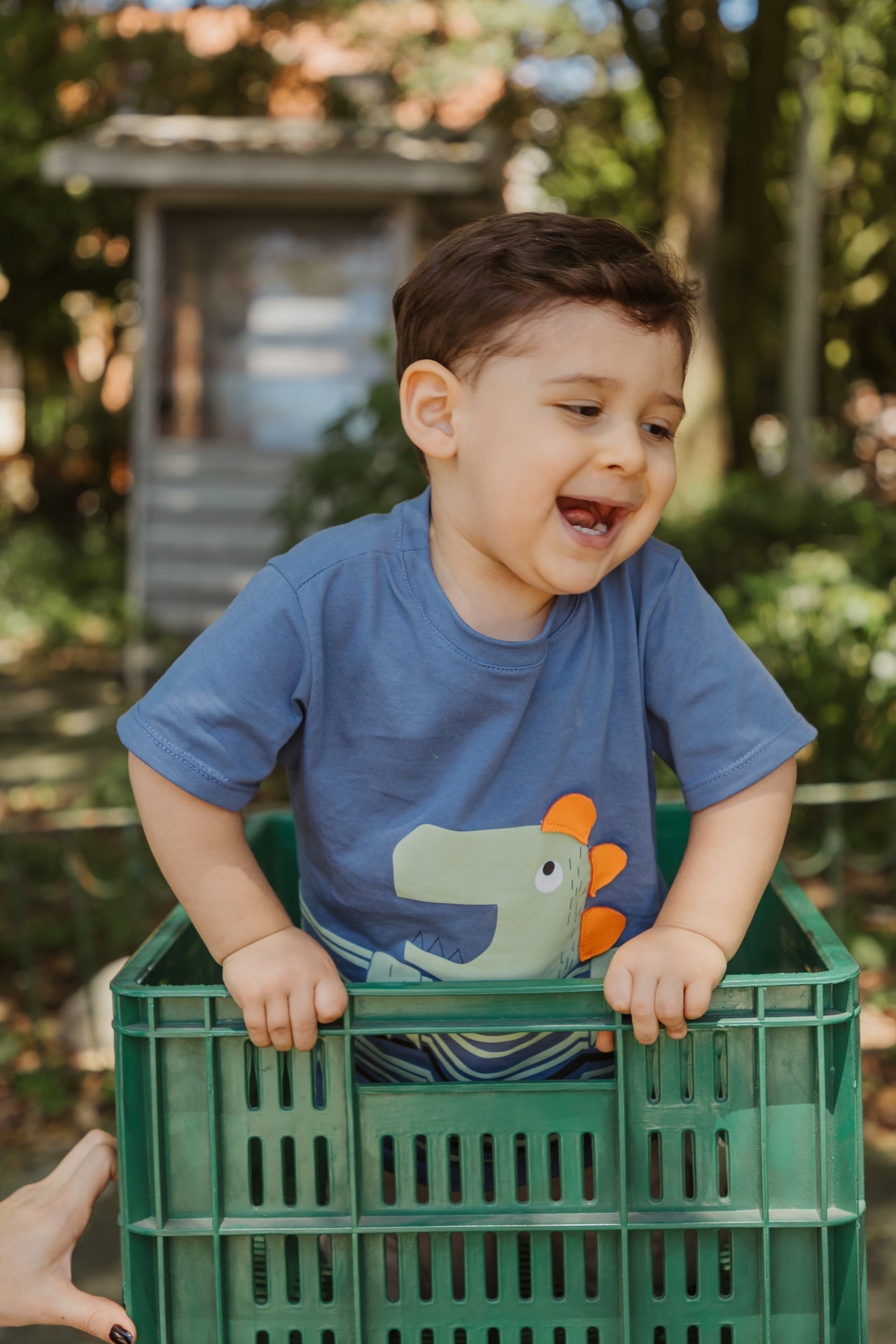 Conjunto Bermuda Niño BB Coco Dino